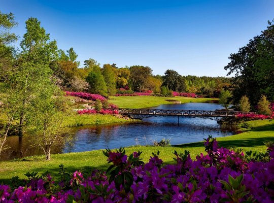 Public park landscape with walking paths and native planting