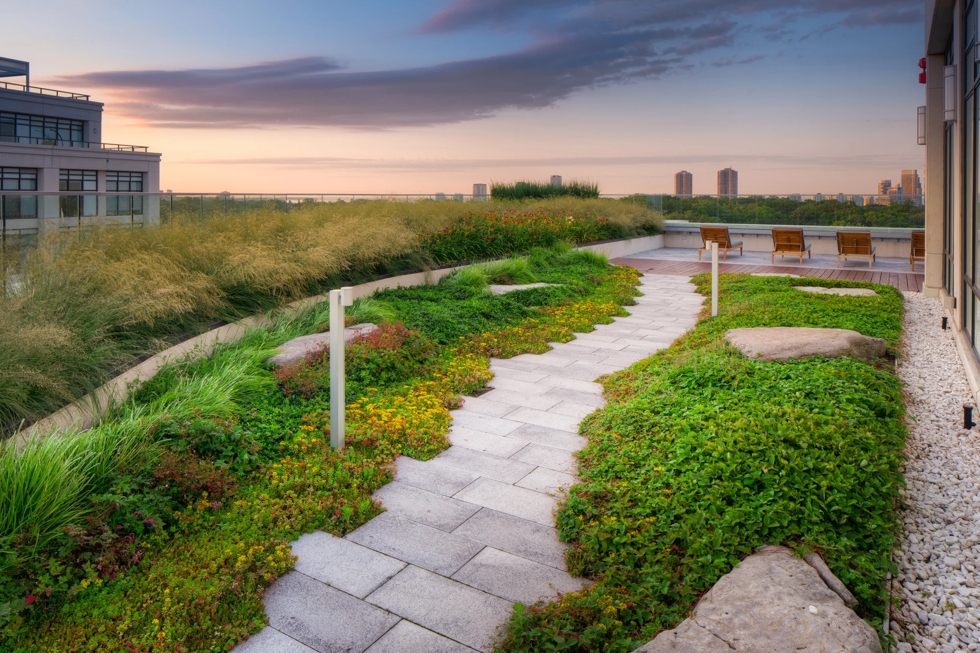 Extensive green roof installation on a contemporary building with sedum varieties and drainage layers visible