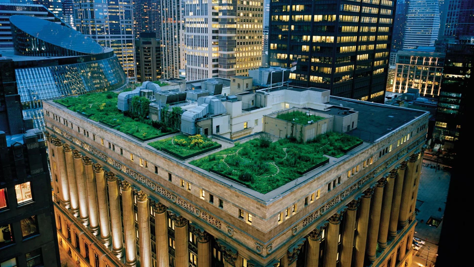 Green roof installation on a modern building with layered vegetation