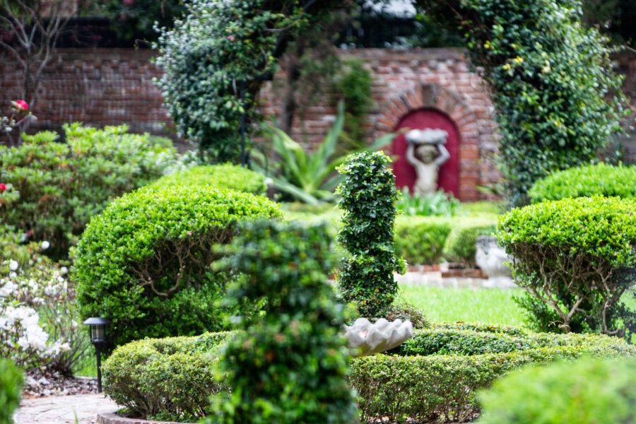 Lush residential garden with layered planting and stone patio